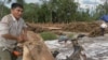 Cambodian Committee to Investigate Killing of Environmental Activist