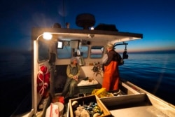 Virginia Oliver (kiri), mengobrol dengan putranya Max Oliver saat berangkat ke laut untuk menangkap lobster saat fajar di Rockland, Maine, Selasa, 31 Agustus 2021. Virginia Oliver (101 tahun), nelayan lobster tertua di negara bagian itu. (AP Photo/Robert F. Bukaty)