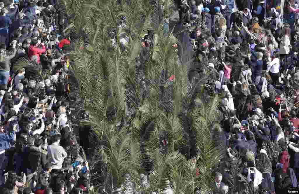 Members of the clergy holds palm branches at the start of the Palm Sunday mass led by Pope Francis at Saint Peter's Square at the Vatican.