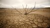 Dry Spells, Fall Armyworm Raise Concerns about Food Security in Southern Africa