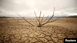 De la boue séchée au barrage Theewaterskloof près de la ville du Cap, en Afrique du Sud, le 20 janvier 2018.
