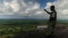 Une forêt au Mozambique