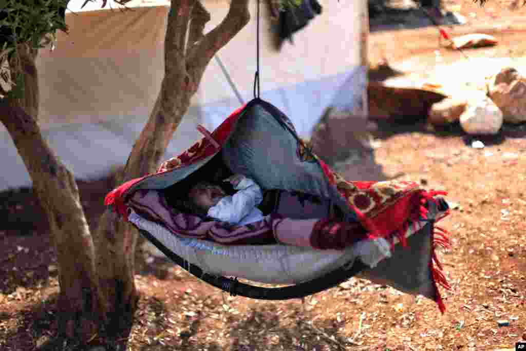 A Syrian baby cries as he lays on a swing attached to a tree at a camp in the Syrian village of Atma, near the Turkish border with Syria, November 5, 2012.