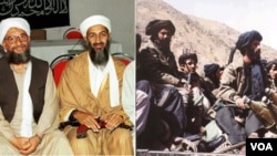 DK PBB memutuskan untuk memperlakukan kelompok militan Taliban (kanan) berbeda dengan kelompok teroris Al-Qaida.