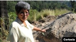 Aura Elena Farfán, activista guatemalteca.