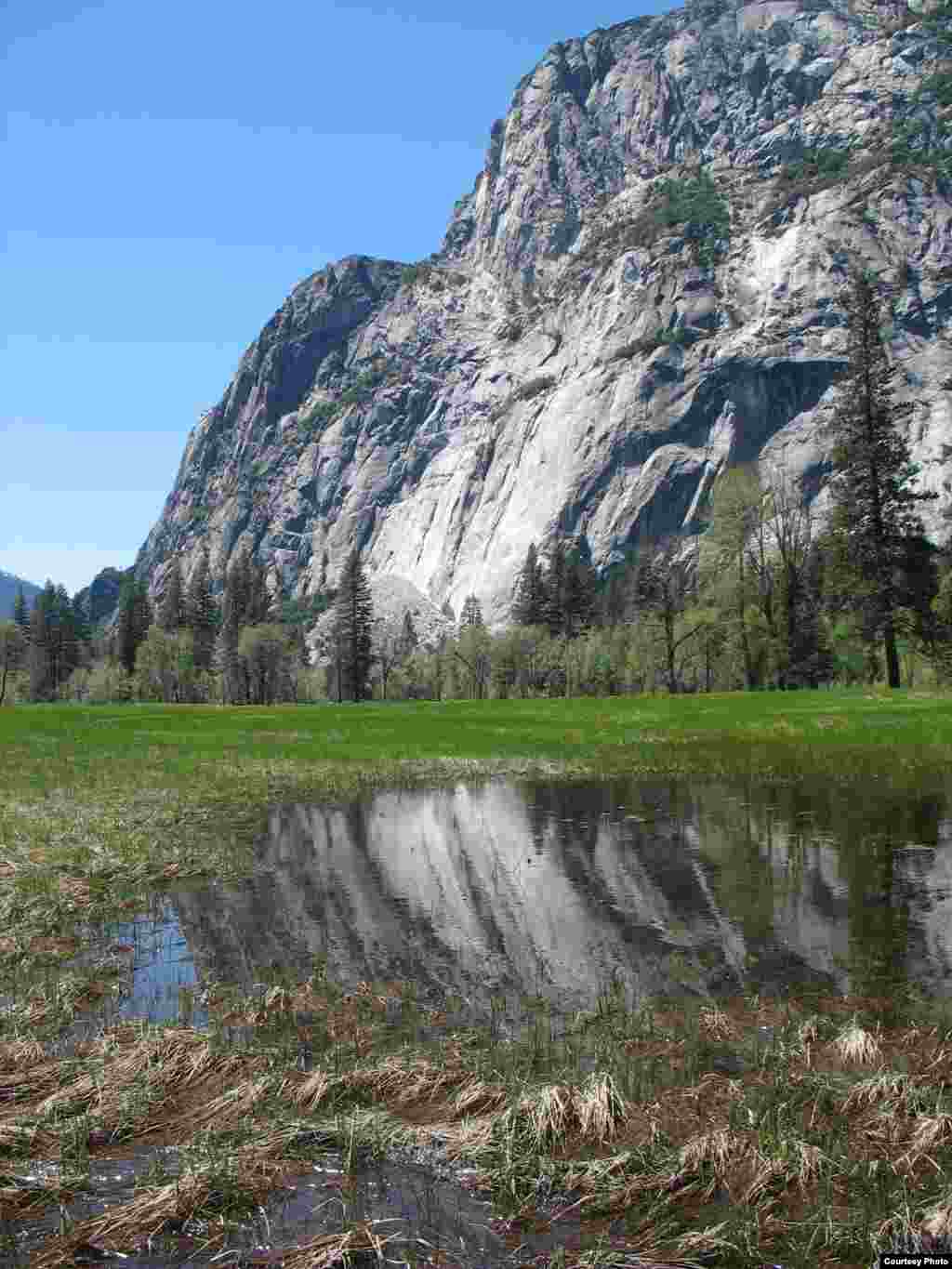 Climate change and warming temperatures affect all landscapes high and low – including these delicate alpine meadow ecosystems in Yosemite National Park, California. (Ben Young Landis/USGS)