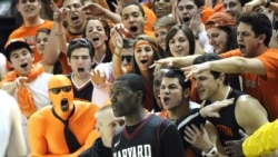 Princeton and Harvard are consistently ranked as top universities.