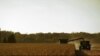 Ramin Barhani’s film, At Any Price, uses a rural setting to address the human condition. (Sony Pictures Classics)