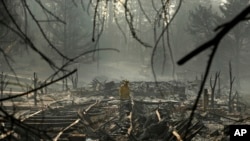 Petugas pemadam kebakaran mencari jenazah korban di sebuah taman trailer yang hangus karena amukan "Camp Fire", di Paradise, California, Jumat, 16 November 2018. (Foto: dok).