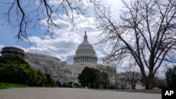 Washington Spring