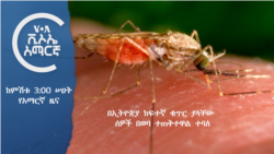 ከምሽቱ 3:00 የአማርኛ ዜና
