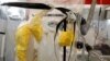 Uganda Confirms First Ebola Case and Death Outside Congo Outbreak