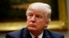 Donald Trump donne ses premiers salaires aux Parcs nationaux