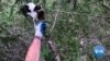 Seattle Non-Profit Helps Bring Cats Down To Earth