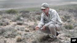 Biologist Jude Smith looks over native grasses at the Muleshoe National Wildlife Refuge outside Muleshoe, Texas, May 18, 2021. 