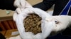 Thai Officials Sought To Strike Down Medical Marijuana Patent Applications by Foreign Firms