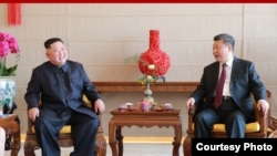 지난해 1월 김정은 북한 국무위원장과 시진핑 중국 국가주석이 베이징 호텔 북경반점에서 부부동반 오찬에 앞서 환담하고 있는 모습을 북한관영 '조선중앙통신'이 공개했다.