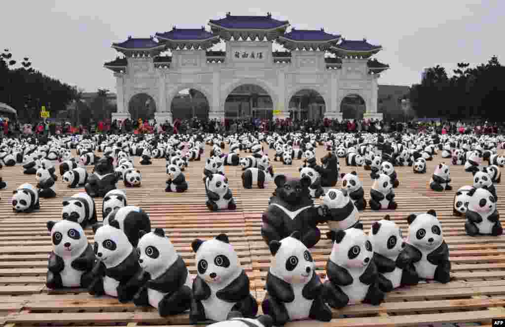 Dua ratus beruang hitam kertas Formosa dikelilingi oleh panda-panda kertas dalam pameran yang disebut "Tur Panda" di Liberty Square, National Chiang Kai-shek Memorial Hall di Taipei, Taiwan.