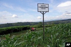 Papan berisi informasi kepemilikan lahan MNC Land tampak di sebuah lahan pertanian dekat Taman National Gunung Gede Pangrango di Bogor, Jawa Barat, 8 Maret 2017. Proyek resor Trump akan dibangun dekat kawasan tersebut memicu kekhawatiran aktivis lingkunga