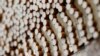 Smokers Face Tighter Rules as Tokyo Eyes Smoke-free Olympics