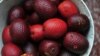 Can Forests Help Feed the World? 