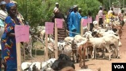 Dabbobin da ake rabawa mutane a kasar Kamaru. 