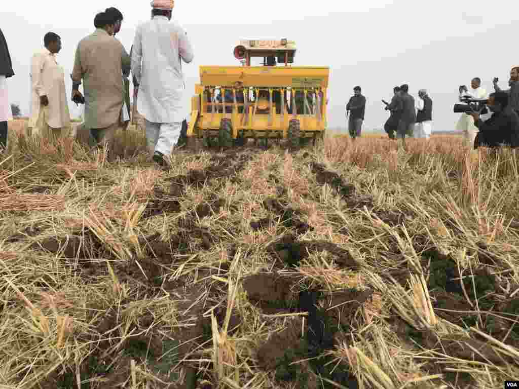 رائس چاپر کے ذریعے دھان کی باقیات کو پہلے کاٹا جاتا ہے اور دوسری مشین کے ذریعے اسی وقت زمین میں گندم کی بوائی کی جا سکتی ہے۔
