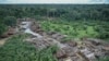 This May 8, 2018 photo released by the Brazilian Environmental and Renewable Natural Resources Institute (Ibama) shows an illegally deforested area on Pirititi indigenous lands as Ibama agents inspect Roraima state in Brazil's Amazon basin. 