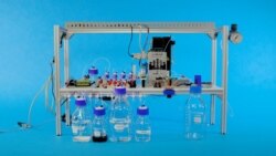 Quiz - Can DNA Be Used to Store the World’s Computer Data?