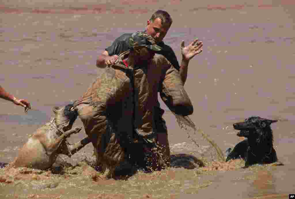 Un exercice de simulation montrant des cheins dressés et leurs maîtres appréhendant un "braconnier de rhino", au centre, après la descente d'un hélicoptère dans l'eau, dans une académie dirigée par le Groupe Paramount, près de Rustenburg, Afrique du Sud, 26 novembre 2014.