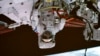 16x9 Image
