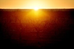 The sun rises over dried up lake Pamamaroo, outside of Menindee, Australia, Sept. 2, 2019. Prolonged drought exacerbated by demands on water resources by irrigators and cities means the Darling River (Barka) is running dry.