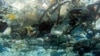 Studi: 8,8 Juta Ton Sampah Plastik Dibuang ke Laut Setiap Tahun