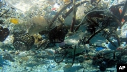 Sampah plastik di Pantai Hanauma, Hawaii. (Foto: Dok)