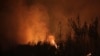 Portugal Asks for Help from Europe to Fight Fires