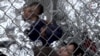Subcomisión del Congreso investiga muertes de niños en la frontera