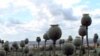 Britain are harvesting a surprising new crop field of opium poppies