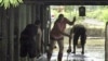 Floodwaters Replenish Australia's Drought-Stricken Wetlands