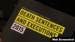 Amnesty international