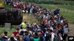 Migrants line up after crossing a border from Croatia near the village of Zakany, Hungary, Sept. 26, 2015.