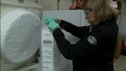 Work on Ebola Treatments Speeds Up to Address Outbreak