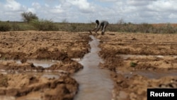 Seorang petani tengah memeriksa ladang irigasi di dekat desa Botor, Somaliland, 16 April 2016. (Foto: dok).