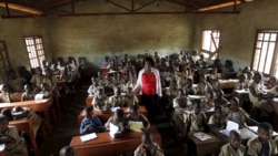 Murisanga
