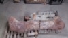 Hallan fósil de dinosaurio gigante