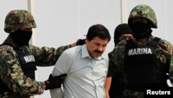 Kartel narkoba Joaquin Guzman (tengah) digiring tentara di Mexico City. (Foto: Dok)