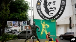 Brazil Pele