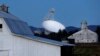 For West Virginia Town, No Wi-Fi, No Problem
