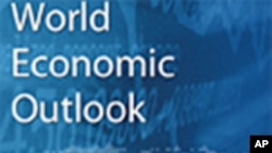 International Monetary Fund Raises Growth Forecast
