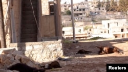 FILE - Animal carcasses in wake of what residents describe as a chemical weapons attack in Khan al-Assal area, near Aleppo, Syria, March 23, 2013..