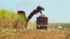 US Complains About China Farm Trade Practices